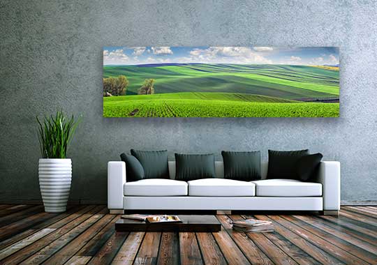 Panoramic Canvas Prints